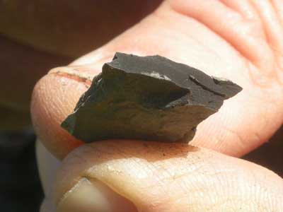 dolorite-in-ridge